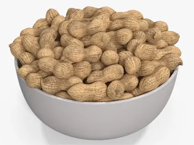 Peanuts 2 3D model