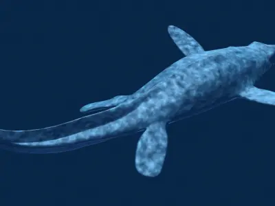 Platecarpus shark Low-poly 3D model