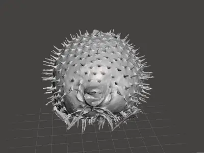 Puffer fish 3d model Free 3D model