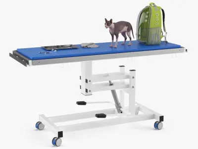 Veterinary Examination 3D model