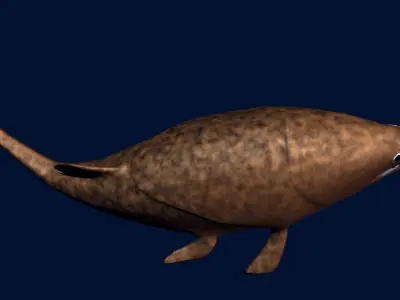 Coccosteus fish Low-poly 3D model