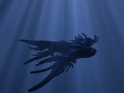 Blue Dragon Glaucus atlanticus 3D model
