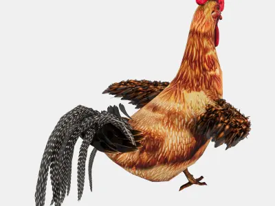 Chicken With Nest Low-poly 3D model