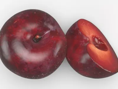 Plum 01 3D model