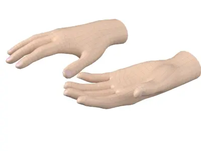 Female Hand Base Mesh 03 3D model