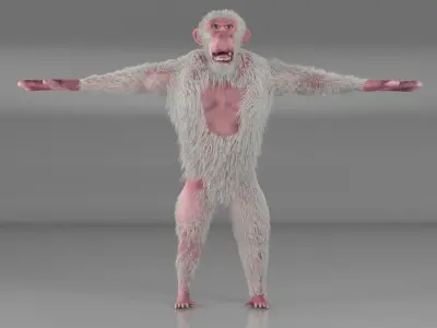 Albino Chimpanzee 3D model