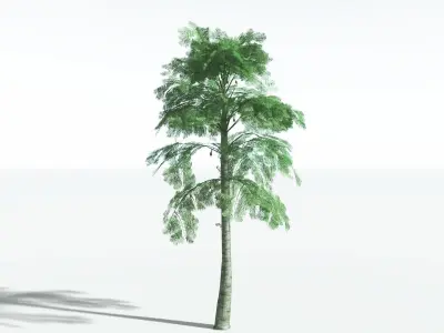 EVERYPlant Alethopteris Seed Fern LowPoly 2 --12 Models-- Low-poly 3D model