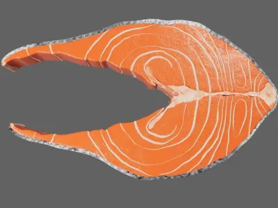 Slice of Raw Salmon 3D model