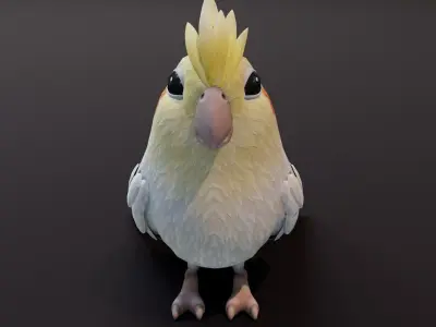 Cartoon Parrot Bird 3D Model Low-poly 3D model