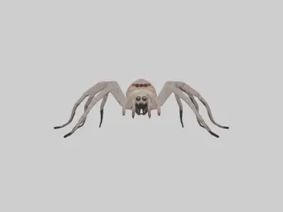 Huntsman Spider Low-poly 3D model