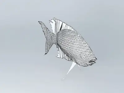 Pelvicachromis-pulcher Fresh Water Fish Free 3D model