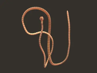 TapeWorm snake chain 3D model