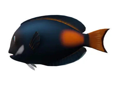 Achilles Tang Animated Fish  Low-poly 3D model