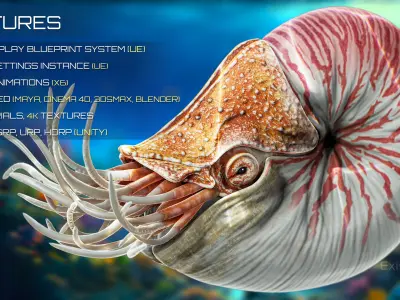 Nautilus Pompilius - Shell Mollusk - Underwater Tentacles - 44 Low-poly 3D model