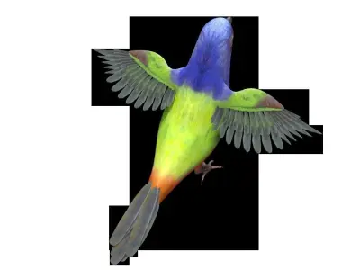 Bunting Bird Low-poly 3D model