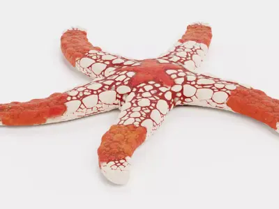 -Necklace Starfish V2 Rigged- 3D model