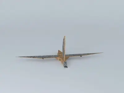 Young Pterosaur Free 3D model