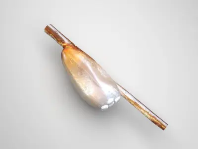 Head Louse Nit 3D model