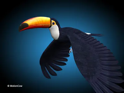 Toucan A - Flight 3D model