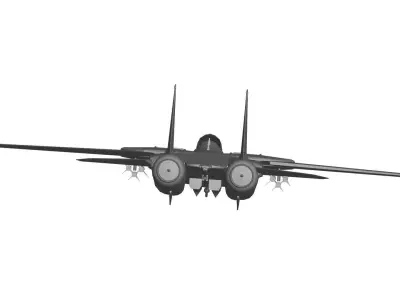 Grumman F-14 Tomcat 3D model