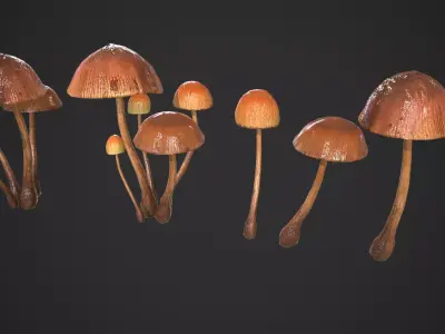 Generic Mushrooms Low-poly 3D model