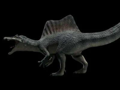 Spinosaurus Dinosaur Low-poly 3D model