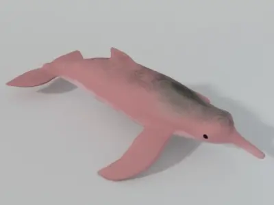 Pink Dolphin Low-poly 3D model
