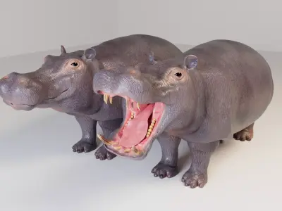 Hippopotamus 3D model