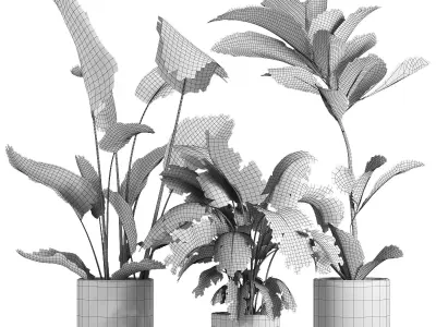 indoor plant 055 3D model