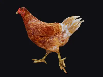 Chicken Roaster Farm Bird Animated Animal Village Birds Poultry Low-poly 3D model
