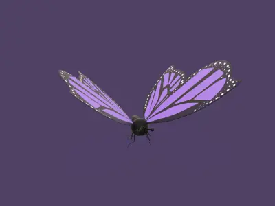 Cartoon Butterfly Wing Flapping 04 Animated Low-poly 3D model