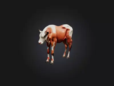 Realistic Injured Calf Model Low-poly 3D model
