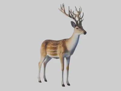Fallow deer Low-poly 3D model