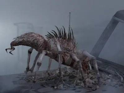 Gray Widower Low-poly 3D model