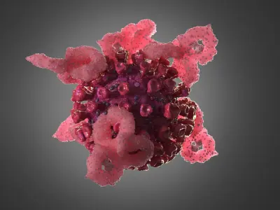 Immunology Virus with Antibodies Interaction Pink 3D model