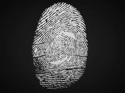 fingerprint 3D model