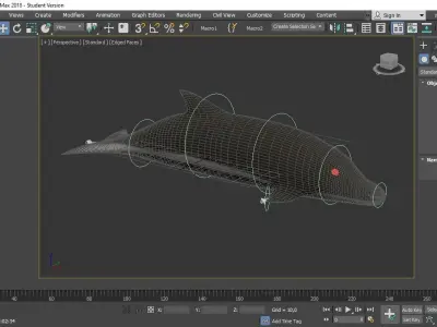 Dolphin Rigged Low-poly 3D model