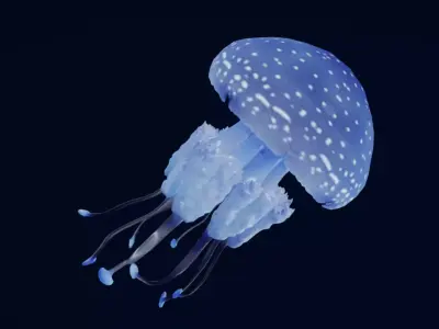 Tropical Jellyfish Phyllorhiza  Animated 3D model