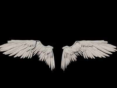 Angel Wings Rig 3D model