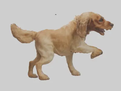 Cocker Spaniel retrieving model 3D model