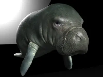 Manatee with Octane 3DS Max Support  Low-poly 3D model