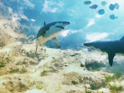 Seaworld two sharks swimming in sea world Low-poly 3D model