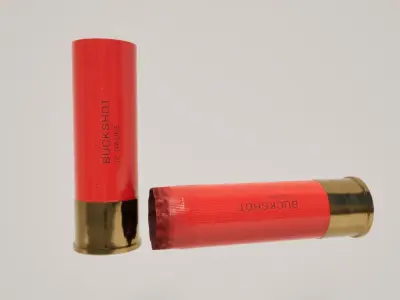 12 Gauge Buckshot 3D model