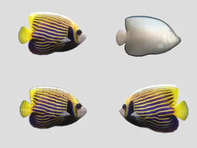 Fish Collection Animated - Game Ready Pack 6 Low-poly 3D model