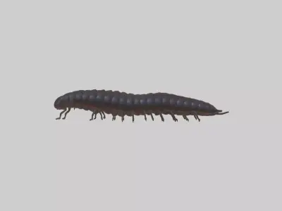 Desert Millipede Low-poly 3D model