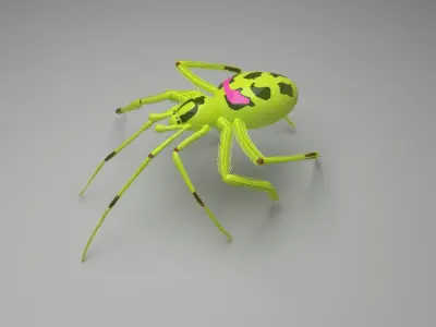 Happy Face Spider 3D model