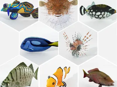 15 Saltwater Fish Pack Low-poly 3D model