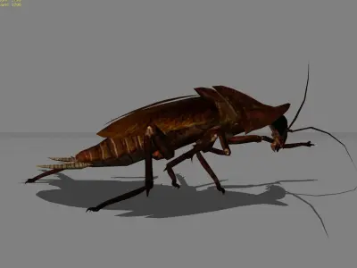 Roach Animal Low-poly 3D model