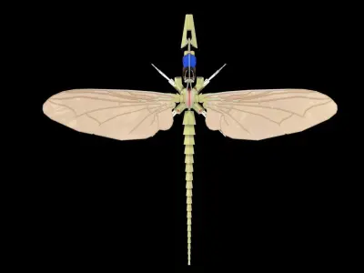 Insectride dragonfly Low-poly 3D model