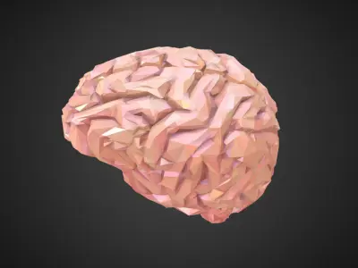 Brain Real Low Polygon Art Medical Low-poly 3D model